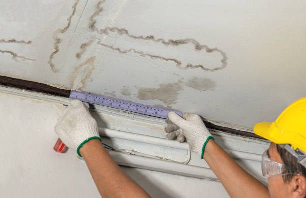 Reliable Mold Remediation contractor in Forestville, MI by Local Water Damage Repair